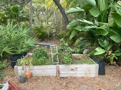 Ansley's Garden Project