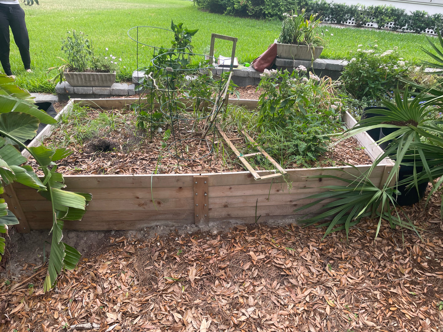 Ansley's Garden Project