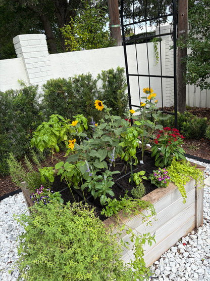 Susan's Garden Refresh
