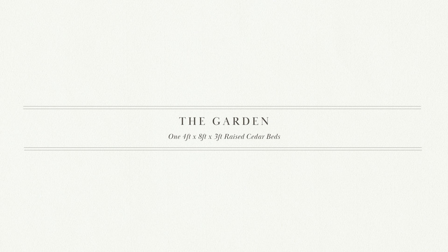Stephanie's Single Garden