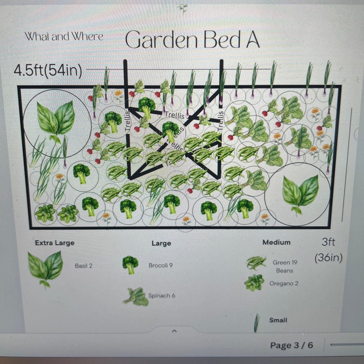 Planting Plan