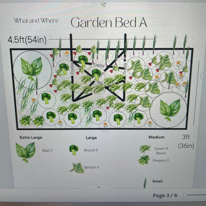 Planting Plan