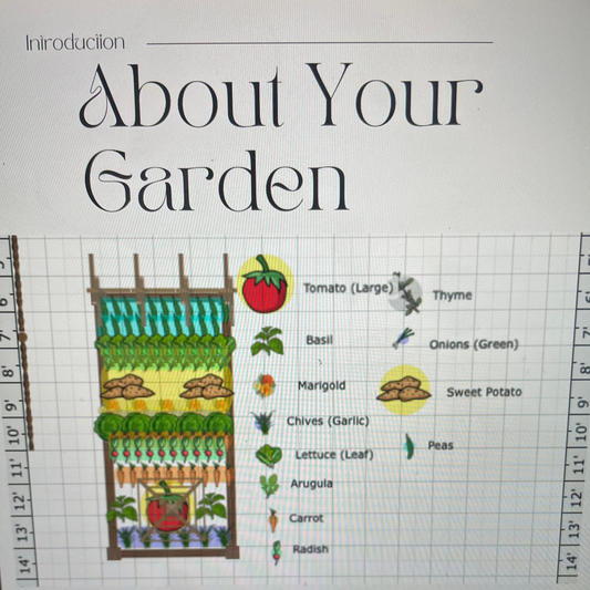 Planting_plan to show how your garden should be planted