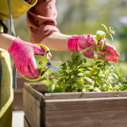 Garden Maintenance for a Month